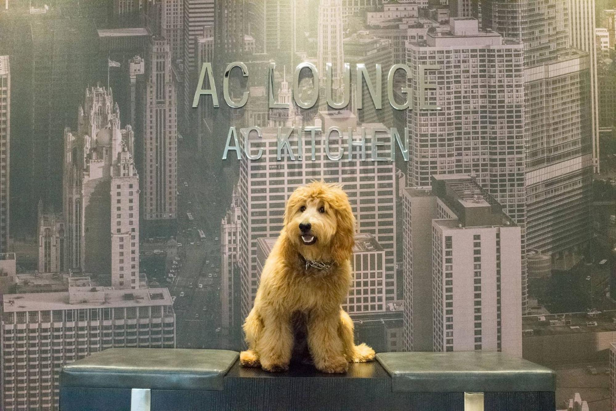 Ac Hotel Chicago Downtown Екстер'єр фото